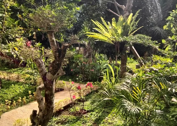 Séjour chez l'habitant Buntera Sidemen (Bali)