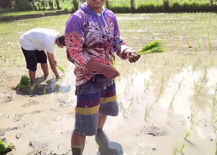 Séjour chez l'habitant Buntera Sidemen (Bali)