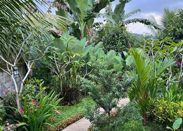 Buntera * Sidemen (Bali)