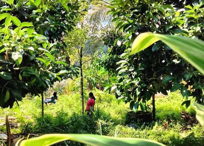 Buntera Sidemen (Bali)
