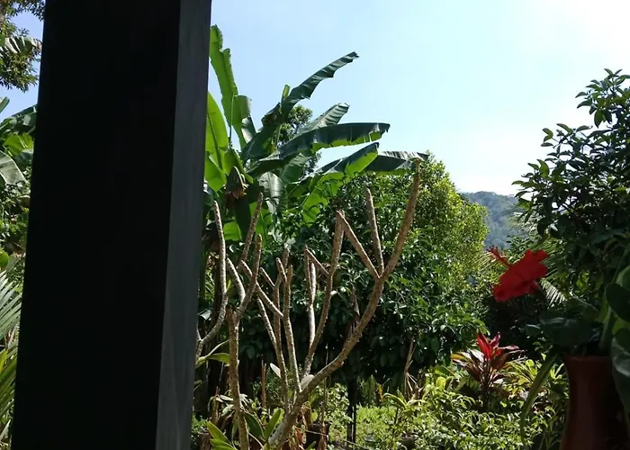 Buntera Sidemen (Bali)
