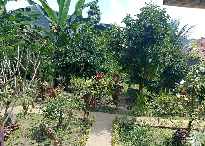 Buntera * Sidemen (Bali)