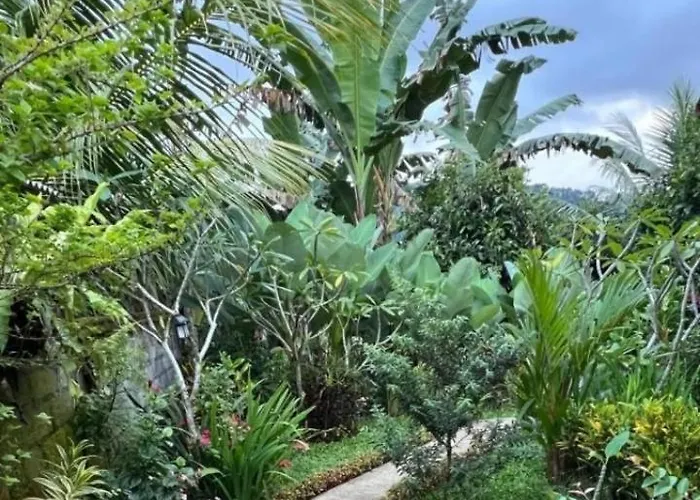 Séjour chez l'habitant Buntera *